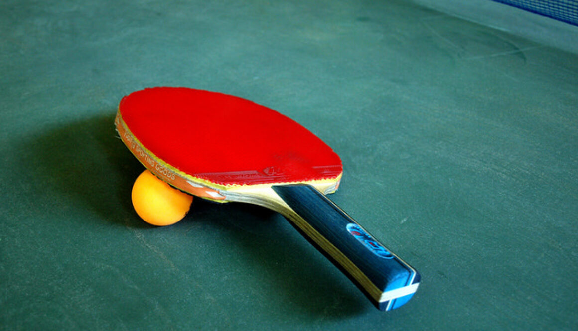 table-tennis-bat-cc-santeri-viinama%cc%88ki